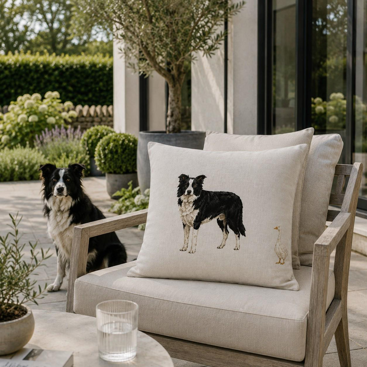 Country Collie – Cushion